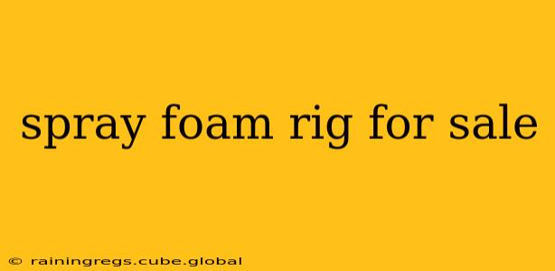 spray foam rig for sale