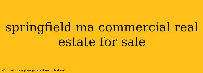 springfield ma commercial real estate for sale