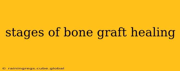 stages of bone graft healing