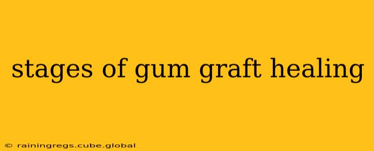 stages of gum graft healing