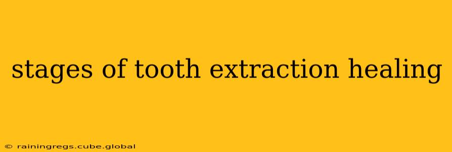 stages of tooth extraction healing