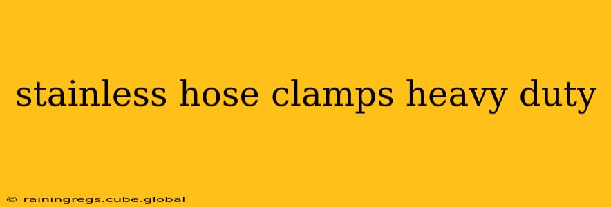 stainless hose clamps heavy duty