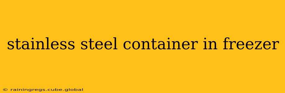 stainless steel container in freezer