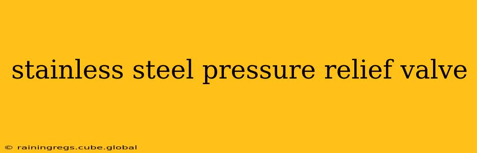 stainless steel pressure relief valve