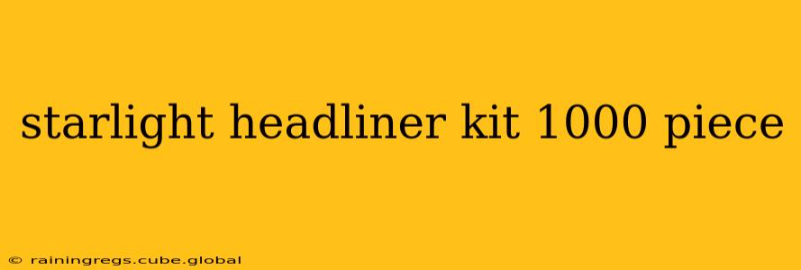 starlight headliner kit 1000 piece