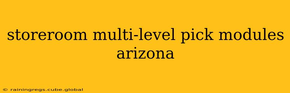storeroom multi-level pick modules arizona