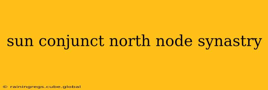 sun conjunct north node synastry