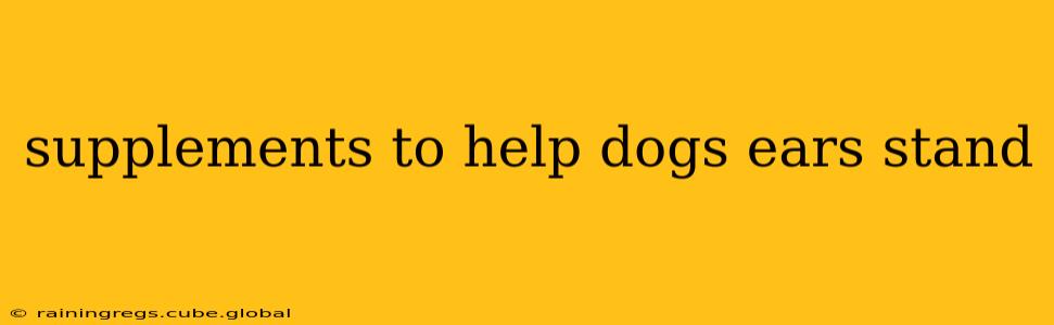 supplements to help dogs ears stand