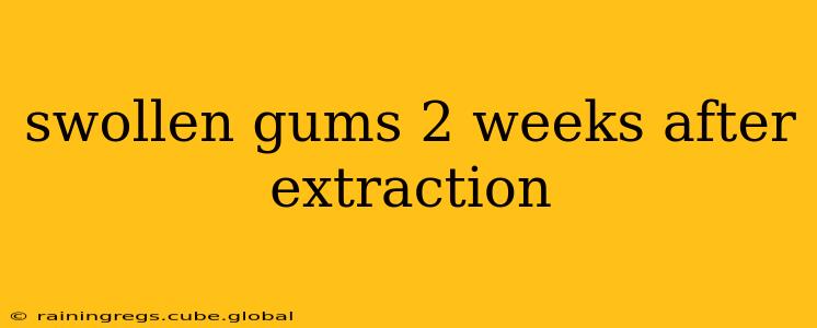swollen gums 2 weeks after extraction