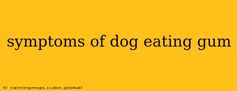 symptoms of dog eating gum
