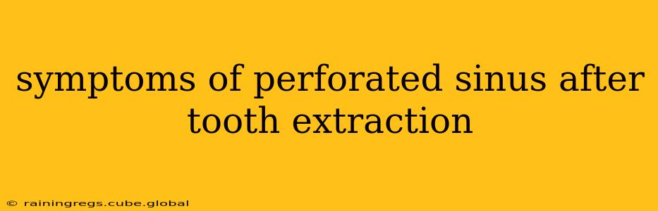 symptoms of perforated sinus after tooth extraction