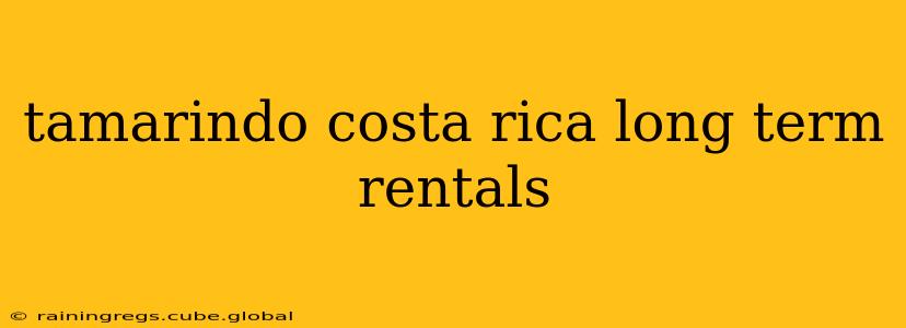 tamarindo costa rica long term rentals