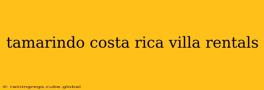 tamarindo costa rica villa rentals