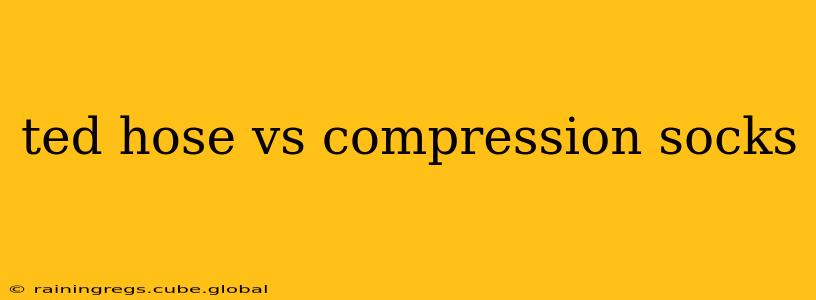 ted hose vs compression socks