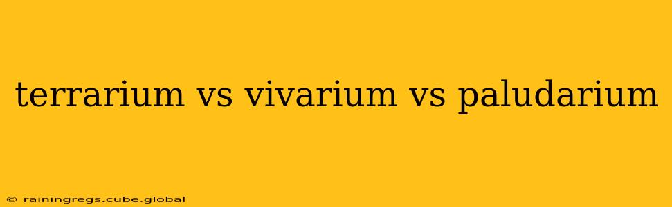 terrarium vs vivarium vs paludarium