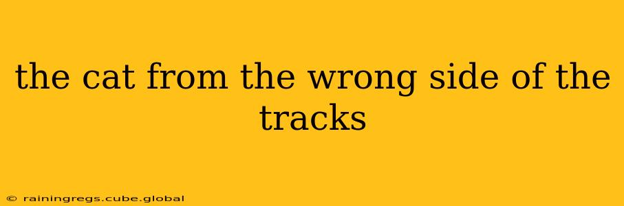the cat from the wrong side of the tracks