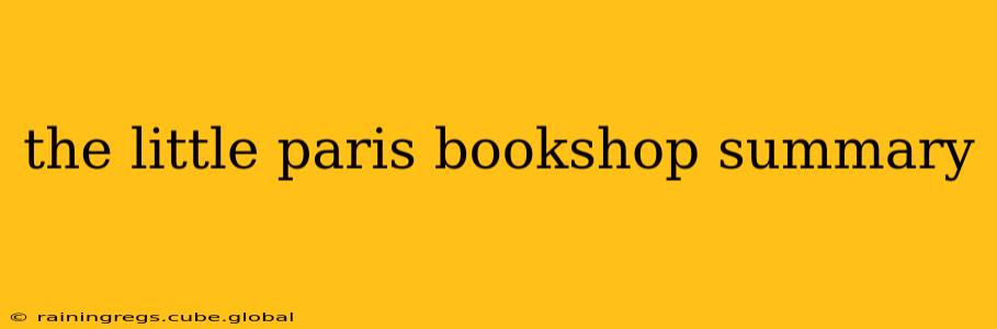 the little paris bookshop summary