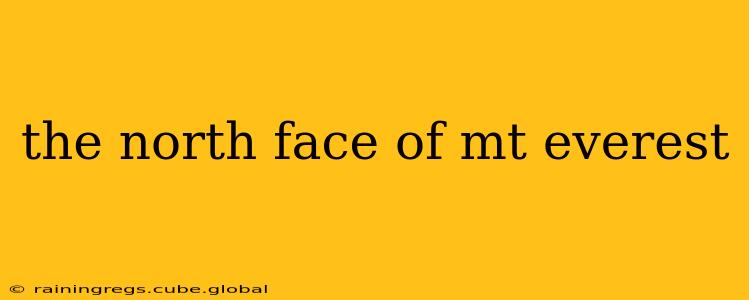 the north face of mt everest