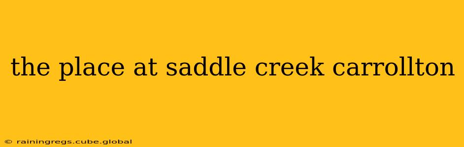 the place at saddle creek carrollton
