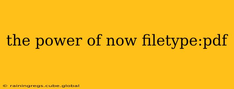 the power of now filetype:pdf