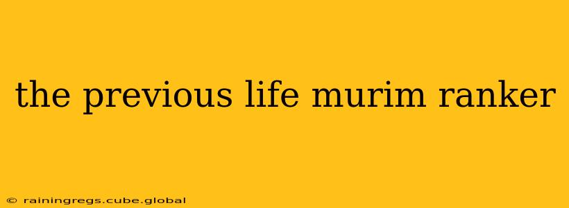 the previous life murim ranker