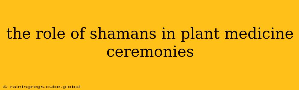 the role of shamans in plant medicine ceremonies