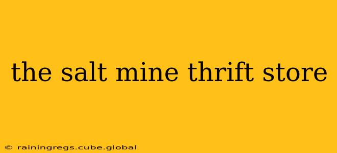 the salt mine thrift store