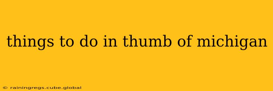 things to do in thumb of michigan