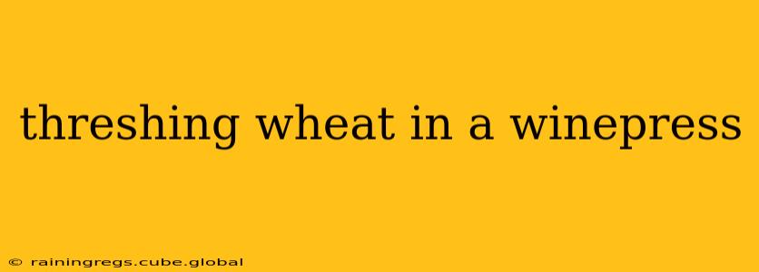 threshing wheat in a winepress