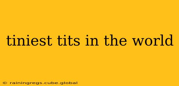 tiniest tits in the world tiniest tits in the world