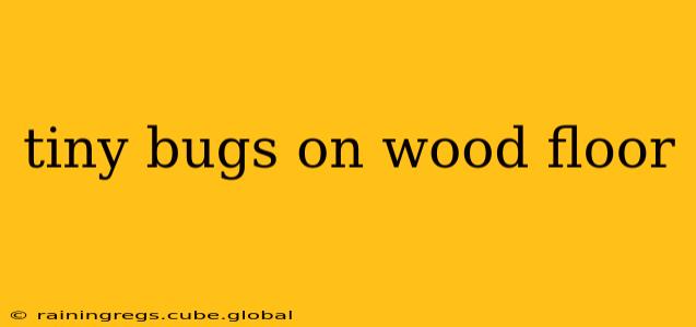 tiny bugs on wood floor