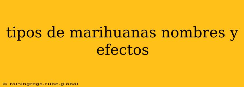 tipos de marihuanas nombres y efectos