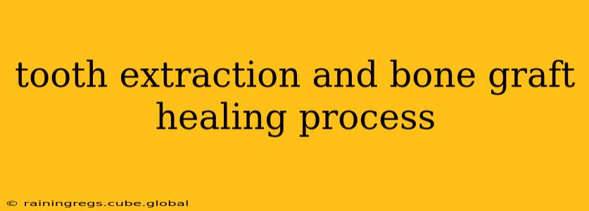 tooth extraction and bone graft healing process