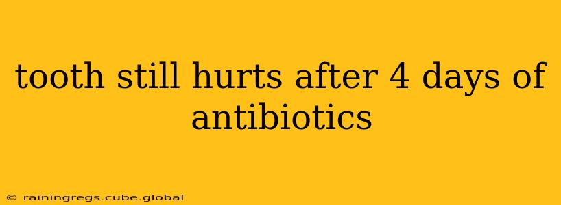 tooth still hurts after 4 days of antibiotics