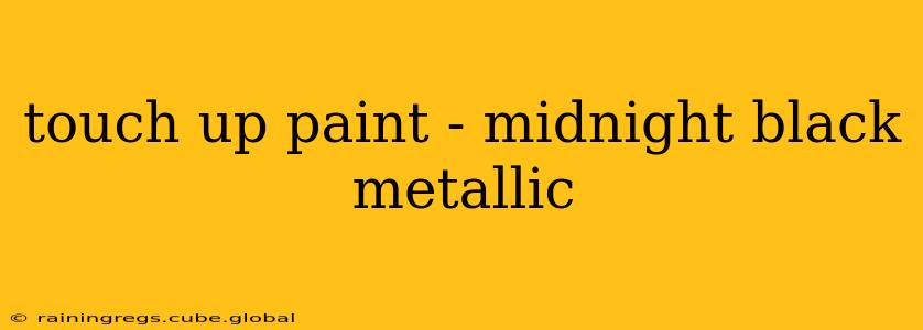 touch up paint - midnight black metallic