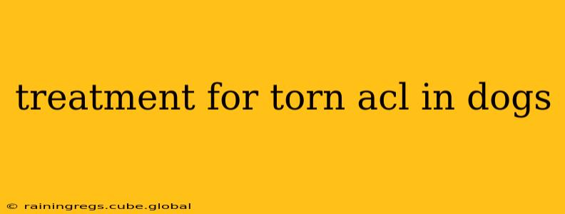 treatment for torn acl in dogs