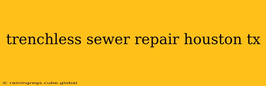 trenchless sewer repair houston tx