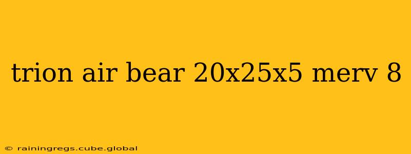 trion air bear 20x25x5 merv 8
