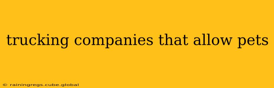 trucking companies that allow pets