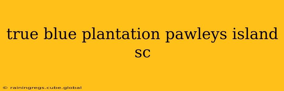 true blue plantation pawleys island sc