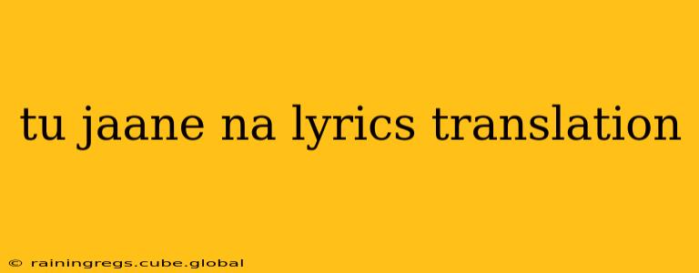 tu jaane na lyrics translation