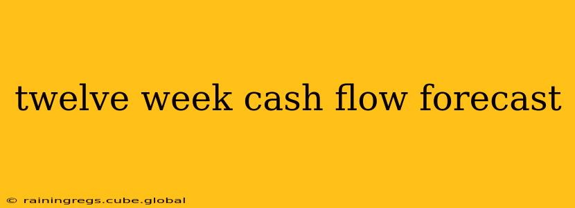 twelve week cash flow forecast