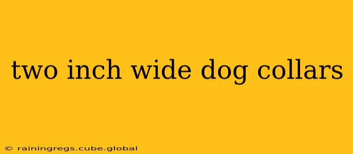 two inch wide dog collars
