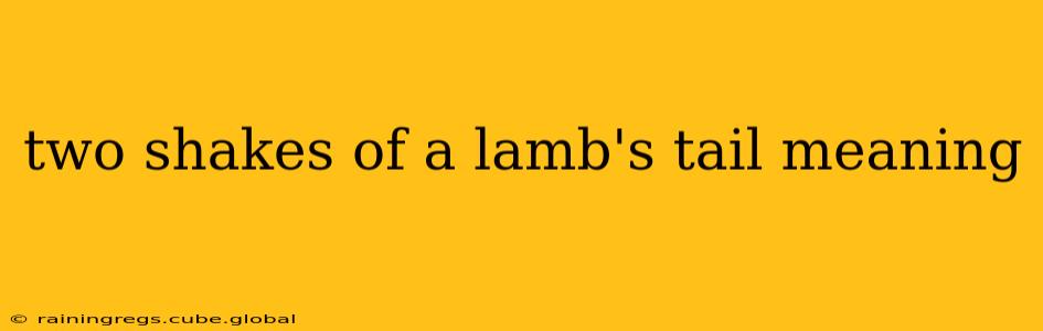 two shakes of a lamb's tail meaning