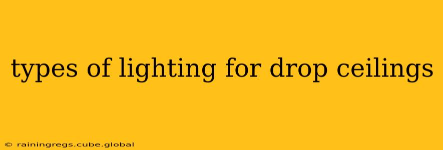 types of lighting for drop ceilings