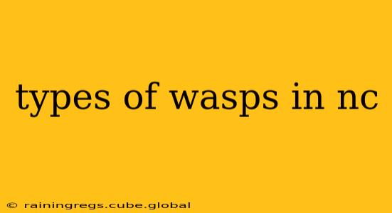 types of wasps in nc
