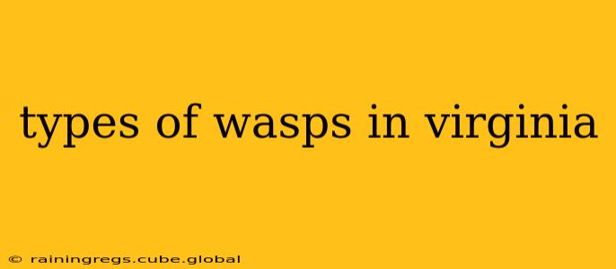 types of wasps in virginia