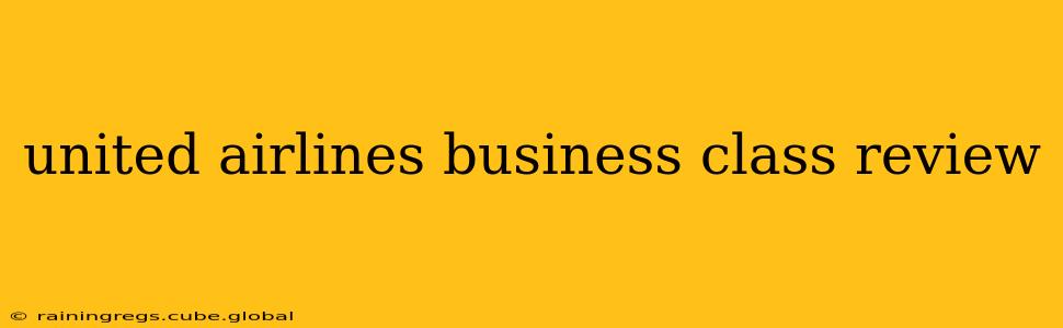 united airlines business class review