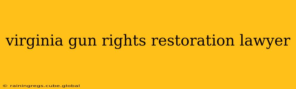 virginia gun rights restoration lawyer