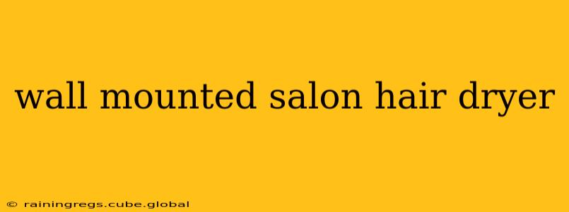 wall mounted salon hair dryer